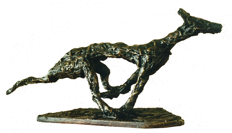 Hond door Melgert Dale