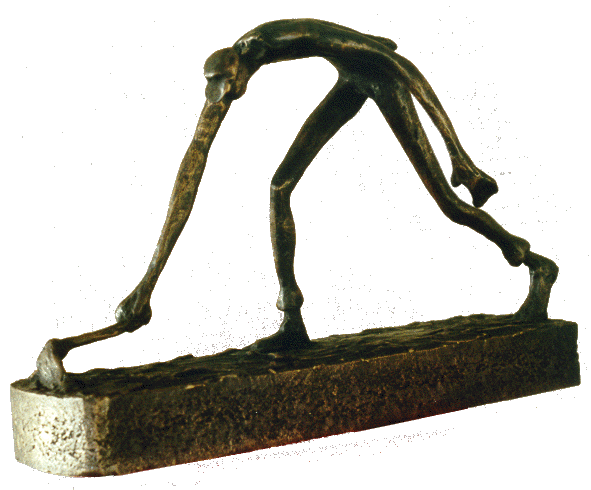 Boer door Melgert Dale