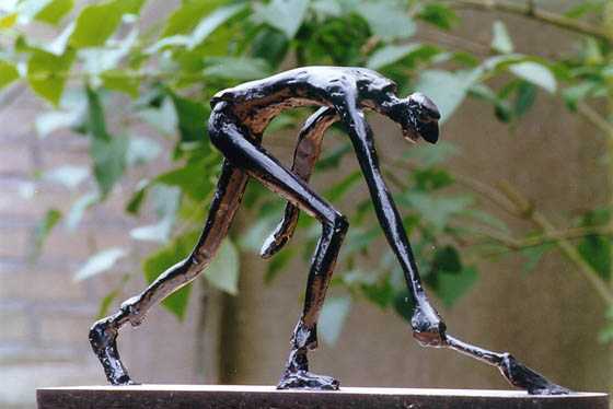 Boer door Melgert Dale