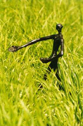 Zaaier door Melgert Dale