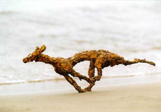 Hond door Melgert Dale